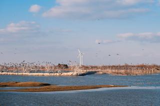 Eau chaude sanitaire : ballon, solaire ou electrique ?