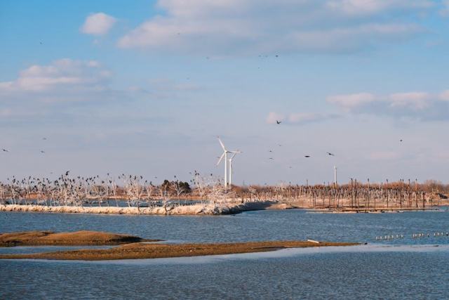 Eau chaude sanitaire : guide pour choisir entre ballon thermodynamique, solaire et electrique