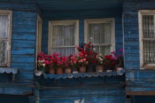 Double ou triple vitrage : comparatif pour choisir vos fenetres